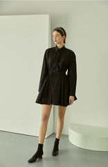 Oversized Cotton Poplin Shirt Dress with Button-Down Front and Classic Pointed Collar