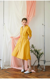 Elegant A-Line Button-Front Midi Dress in Breathable Linen with Waistband Detailing